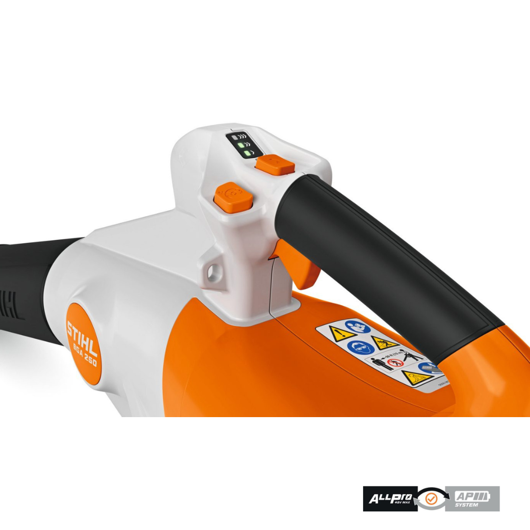 BGA 250 - Image 4